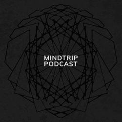 Download Pfirter - MindTrip Podcast 041 - Kr!z Pfirter - MindTrip Podcast