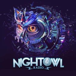 Download Night Owl Radio 220 ft. Charlotte de Witte and VNSSA Night Owl Radio
