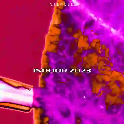 Intercell Indoor 2023